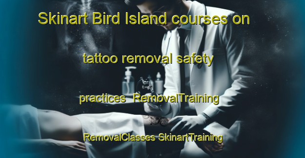 Skinart Bird Island courses on tattoo removal safety practices | #RemovalTraining #RemovalClasses #SkinartTraining-United States