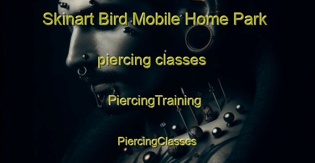 Skinart Bird Mobile Home Park piercing classes | #PiercingTraining #PiercingClasses #SkinartTraining-United States