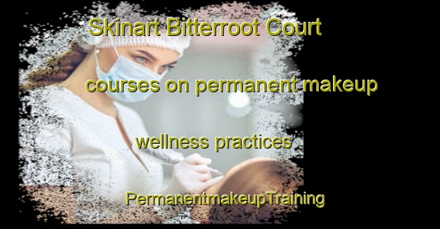Skinart Bitterroot Court courses on permanent makeup wellness practices | PermanentmakeupTraining | PermanentmakeupClasses | SkinartTraining-United States