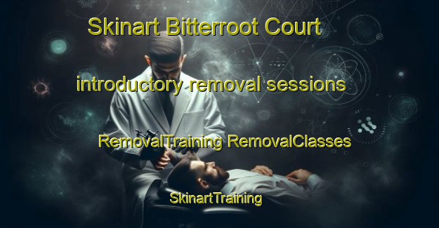 Skinart Bitterroot Court introductory removal sessions | #RemovalTraining #RemovalClasses #SkinartTraining-United States