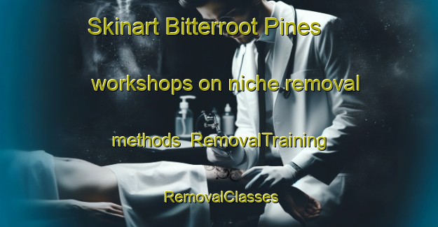 Skinart Bitterroot Pines workshops on niche removal methods | RemovalTraining | RemovalClasses | SkinartTraining-United States