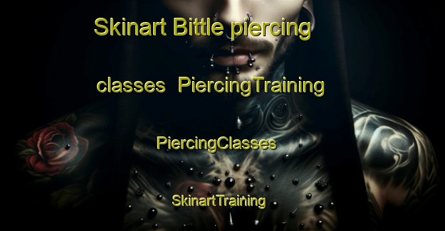 Skinart Bittle piercing classes | PiercingTraining | PiercingClasses | SkinartTraining-United States