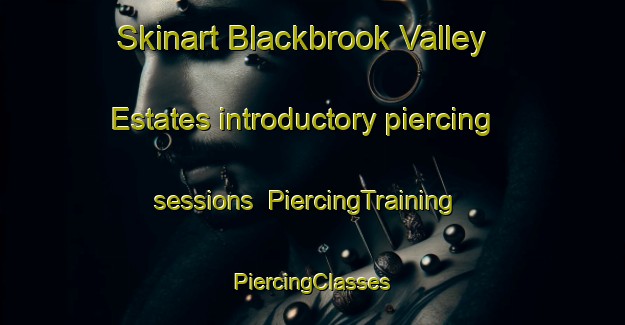 Skinart Blackbrook Valley Estates introductory piercing sessions | #PiercingTraining #PiercingClasses #SkinartTraining-United States