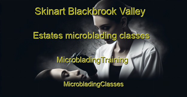 Skinart Blackbrook Valley Estates microblading classes | #MicrobladingTraining #MicrobladingClasses #SkinartTraining-United States