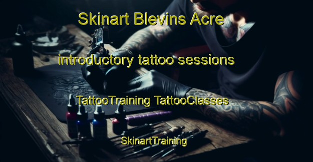 Skinart Blevins Acre introductory tattoo sessions | #TattooTraining #TattooClasses #SkinartTraining-United States