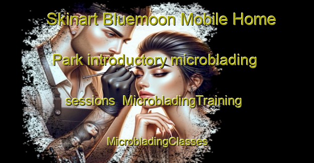 Skinart Bluemoon Mobile Home Park introductory microblading sessions | #MicrobladingTraining #MicrobladingClasses #SkinartTraining-United States