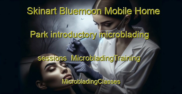 Skinart Bluemoon Mobile Home Park introductory microblading sessions | #MicrobladingTraining #MicrobladingClasses #SkinartTraining-United States