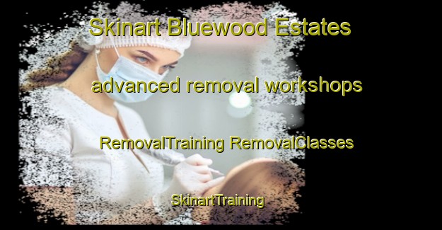 Skinart Bluewood Estates advanced removal workshops | #RemovalTraining #RemovalClasses #SkinartTraining-United States