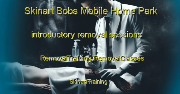 Skinart Bobs Mobile Home Park introductory removal sessions | #RemovalTraining #RemovalClasses #SkinartTraining-United States