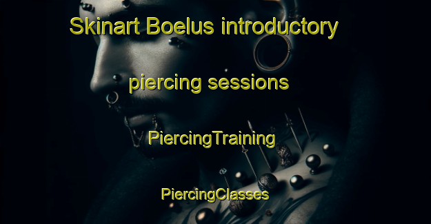 Skinart Boelus introductory piercing sessions | #PiercingTraining #PiercingClasses #SkinartTraining-United States