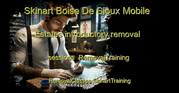 Skinart Boise De Sioux Mobile Estates introductory removal sessions | #RemovalTraining #RemovalClasses #SkinartTraining-United States