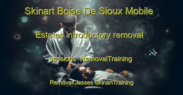 Skinart Boise De Sioux Mobile Estates introductory removal sessions | #RemovalTraining #RemovalClasses #SkinartTraining-United States