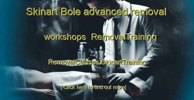 Skinart Bole advanced removal workshops | #RemovalTraining #RemovalClasses #SkinartTraining-United States