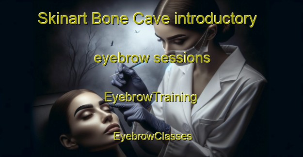 Skinart Bone Cave introductory eyebrow sessions | EyebrowTraining | EyebrowClasses | SkinartTraining-United States