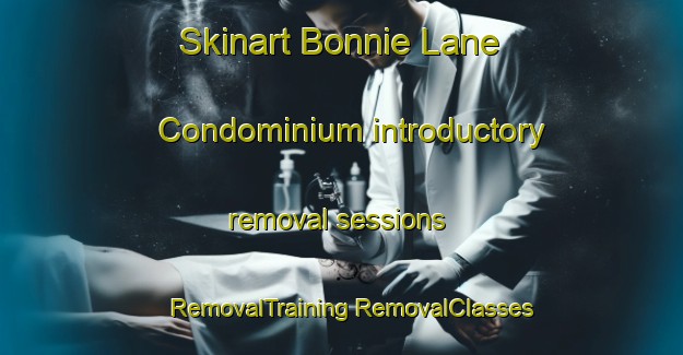 Skinart Bonnie Lane Condominium introductory removal sessions | #RemovalTraining #RemovalClasses #SkinartTraining-United States