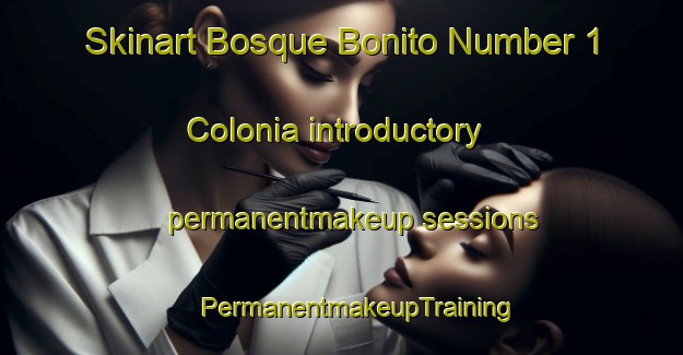 Skinart Bosque Bonito Number 1 Colonia introductory permanentmakeup sessions | #PermanentmakeupTraining #PermanentmakeupClasses #SkinartTraining-United States