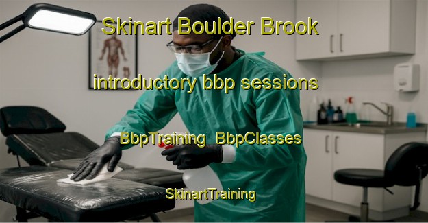 Skinart Boulder Brook introductory bbp sessions | BbpTraining | BbpClasses | SkinartTraining-United States