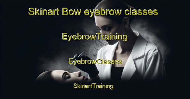 Skinart Bow eyebrow classes | EyebrowTraining | EyebrowClasses | SkinartTraining-United States