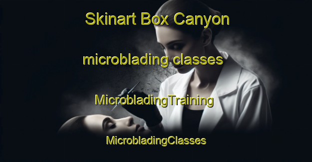 Skinart Box Canyon microblading classes | #MicrobladingTraining #MicrobladingClasses #SkinartTraining-United States