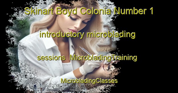 Skinart Boyd Colonia Number 1 introductory microblading sessions | #MicrobladingTraining #MicrobladingClasses #SkinartTraining-United States