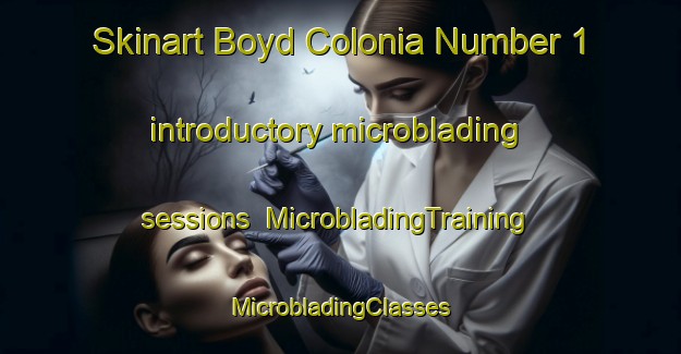 Skinart Boyd Colonia Number 1 introductory microblading sessions | #MicrobladingTraining #MicrobladingClasses #SkinartTraining-United States