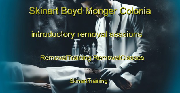 Skinart Boyd Monger Colonia introductory removal sessions | #RemovalTraining #RemovalClasses #SkinartTraining-United States