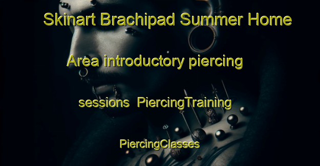 Skinart Brachipad Summer Home Area introductory piercing sessions | #PiercingTraining #PiercingClasses #SkinartTraining-United States