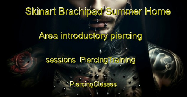 Skinart Brachipad Summer Home Area introductory piercing sessions | #PiercingTraining #PiercingClasses #SkinartTraining-United States