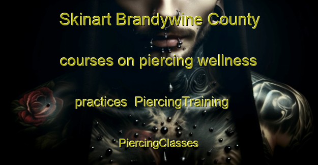 Skinart Brandywine County courses on piercing wellness practices | #PiercingTraining #PiercingClasses #SkinartTraining-United States