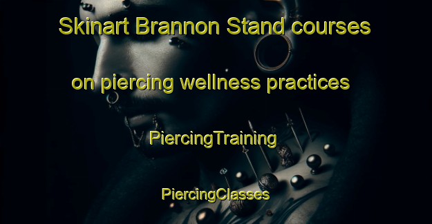 Skinart Brannon Stand courses on piercing wellness practices | #PiercingTraining #PiercingClasses #SkinartTraining-United States