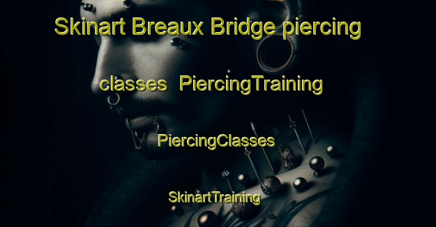 Skinart Breaux Bridge piercing classes | #PiercingTraining #PiercingClasses #SkinartTraining-United States