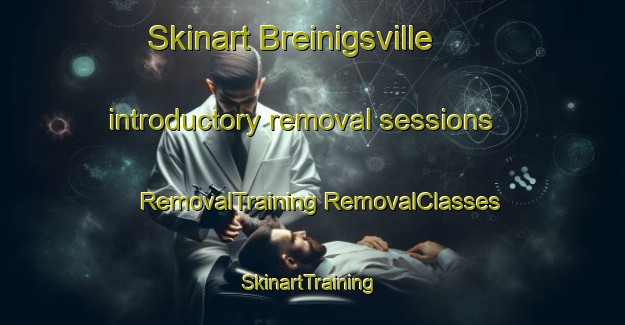 Skinart Breinigsville introductory removal sessions | #RemovalTraining #RemovalClasses #SkinartTraining-United States