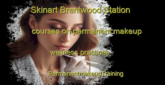 Skinart Brentwood Station courses on permanent makeup wellness practices | #PermanentmakeupTraining #PermanentmakeupClasses #SkinartTraining-United States