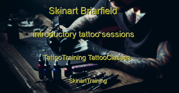 Skinart Briarfield introductory tattoo sessions | #TattooTraining #TattooClasses #SkinartTraining-United States