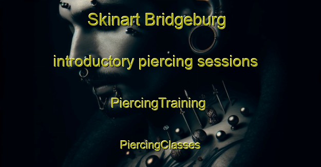 Skinart Bridgeburg introductory piercing sessions | #PiercingTraining #PiercingClasses #SkinartTraining-United States