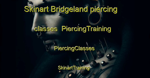 Skinart Bridgeland piercing classes | #PiercingTraining #PiercingClasses #SkinartTraining-United States