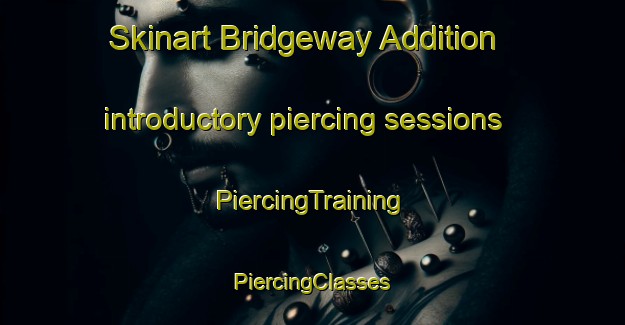 Skinart Bridgeway Addition introductory piercing sessions | #PiercingTraining #PiercingClasses #SkinartTraining-United States