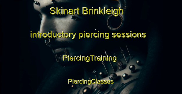 Skinart Brinkleigh introductory piercing sessions | #PiercingTraining #PiercingClasses #SkinartTraining-United States