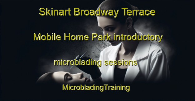 Skinart Broadway Terrace Mobile Home Park introductory microblading sessions | #MicrobladingTraining #MicrobladingClasses #SkinartTraining-United States