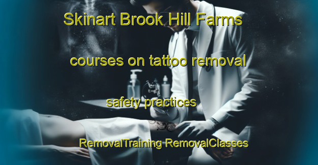 Skinart Brook Hill Farms courses on tattoo removal safety practices | #RemovalTraining #RemovalClasses #SkinartTraining-United States