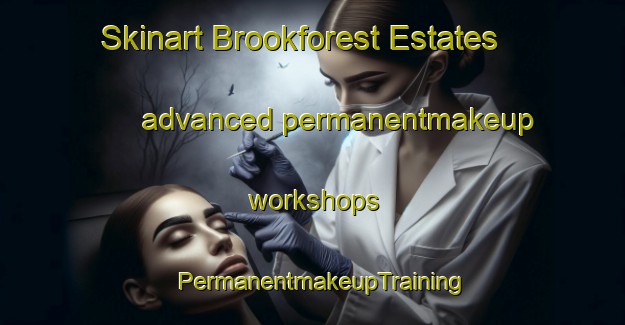 Skinart Brookforest Estates advanced permanentmakeup workshops | PermanentmakeupTraining | PermanentmakeupClasses | SkinartTraining-United States