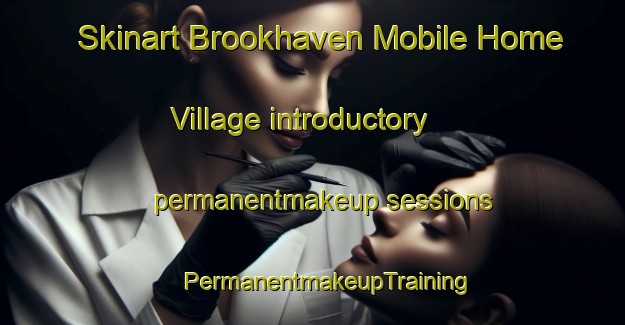 Skinart Brookhaven Mobile Home Village introductory permanentmakeup sessions | #PermanentmakeupTraining #PermanentmakeupClasses #SkinartTraining-United States