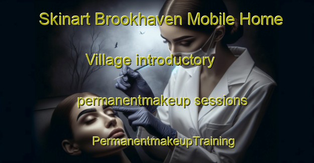 Skinart Brookhaven Mobile Home Village introductory permanentmakeup sessions | #PermanentmakeupTraining #PermanentmakeupClasses #SkinartTraining-United States