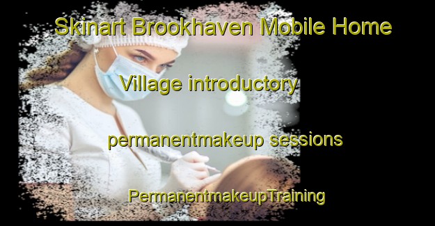 Skinart Brookhaven Mobile Home Village introductory permanentmakeup sessions | #PermanentmakeupTraining #PermanentmakeupClasses #SkinartTraining-United States