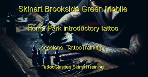 Skinart Brookside Green Mobile Home Park introductory tattoo sessions | #TattooTraining #TattooClasses #SkinartTraining-United States