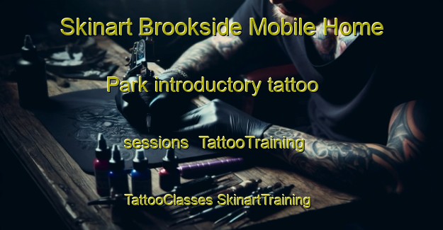 Skinart Brookside Mobile Home Park introductory tattoo sessions | #TattooTraining #TattooClasses #SkinartTraining-United States