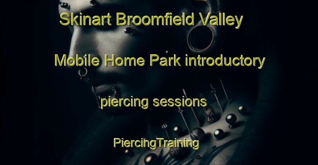 Skinart Broomfield Valley Mobile Home Park introductory piercing sessions | #PiercingTraining #PiercingClasses #SkinartTraining-United States