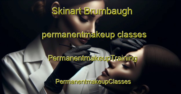 Skinart Brumbaugh permanentmakeup classes | PermanentmakeupTraining | PermanentmakeupClasses | SkinartTraining-United States
