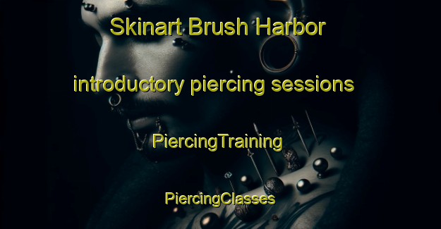 Skinart Brush Harbor introductory piercing sessions | #PiercingTraining #PiercingClasses #SkinartTraining-United States