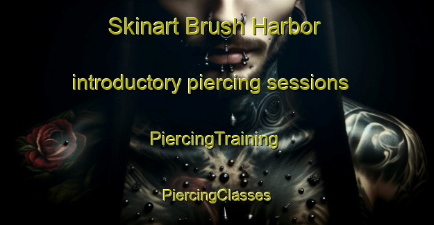 Skinart Brush Harbor introductory piercing sessions | #PiercingTraining #PiercingClasses #SkinartTraining-United States